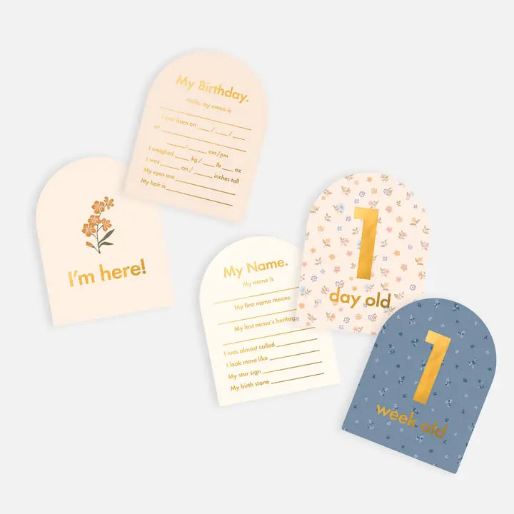 Baby Milestone Cards Broderie