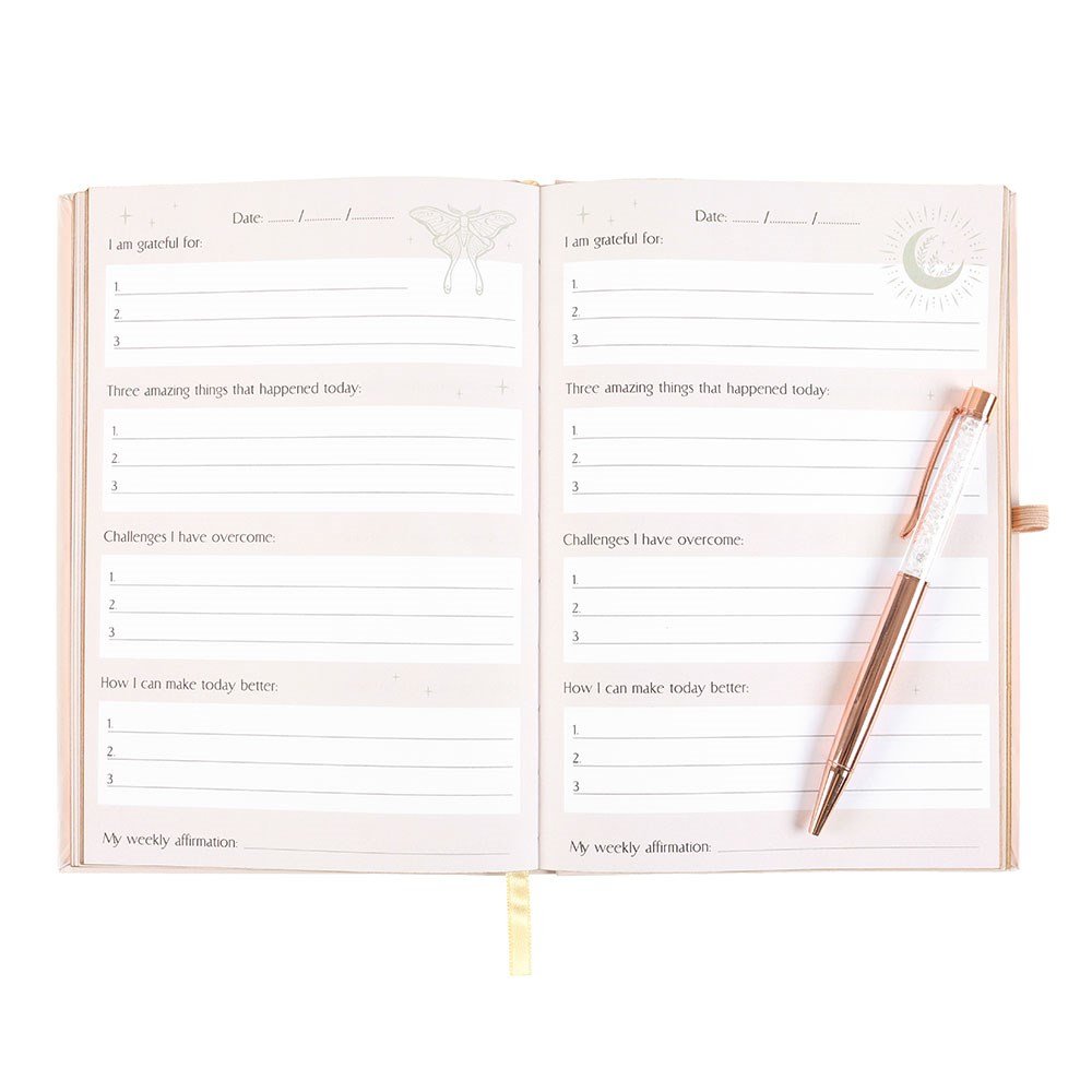 Luna Moth Daily Reflection Journal with Crystal Pen