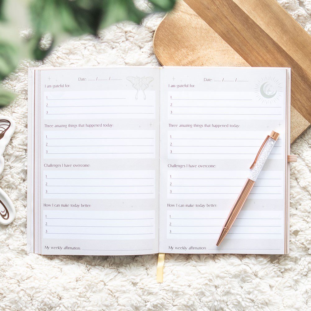 Luna Moth Daily Reflection Journal with Crystal Pen